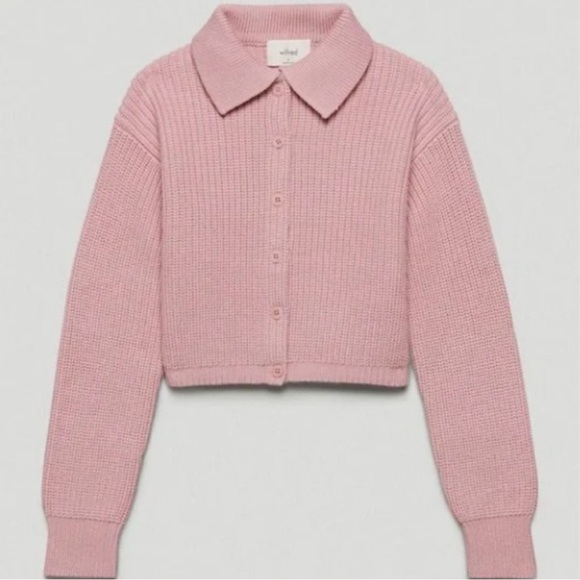 Wilfred Sweaters - Aritzia Nextdoor Pink Sweater in Medium